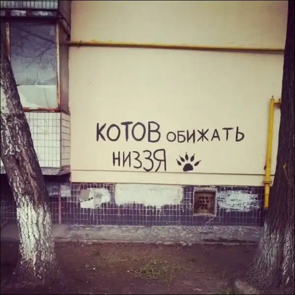 Маразмы