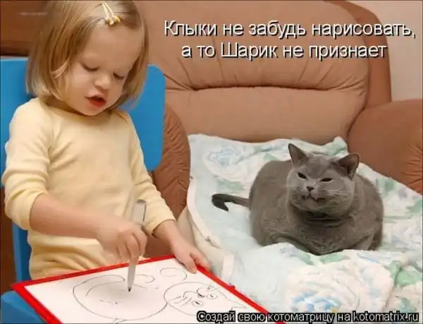 Лучшие котоматрицы недели