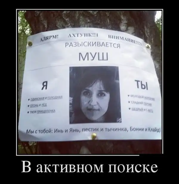 Картинки в черной рамке (03.07.14)