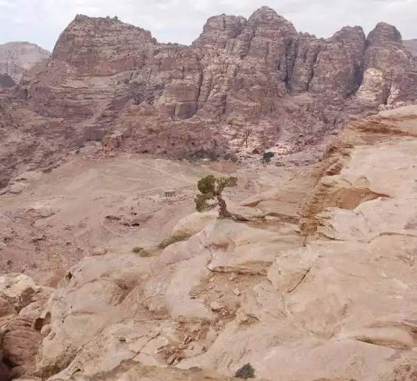 Петра (Petra)