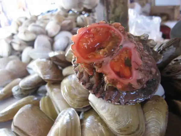 Живой камень ?!
