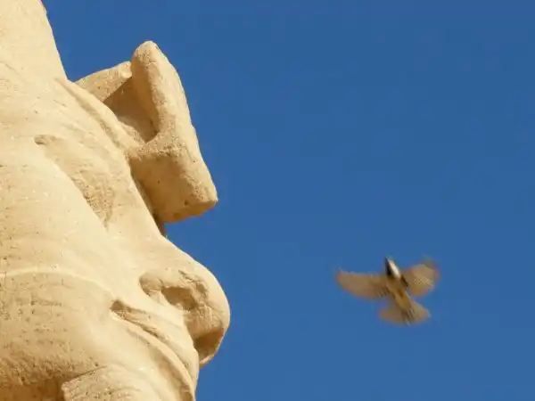 Храмы Рамзеса II Абу-Симбел (Abu Simbel)