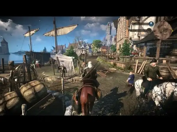 The Witcher