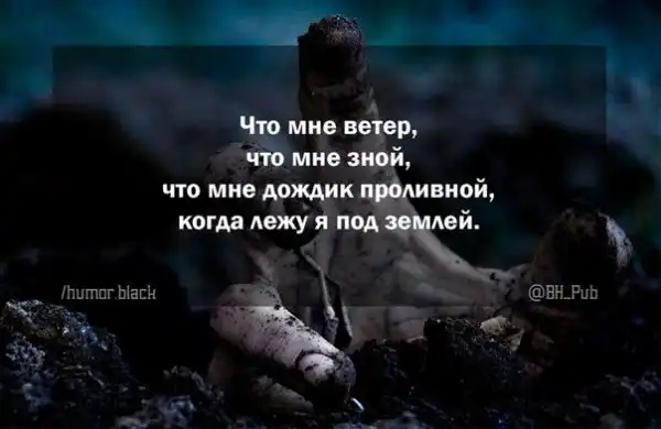 черный черный юмор