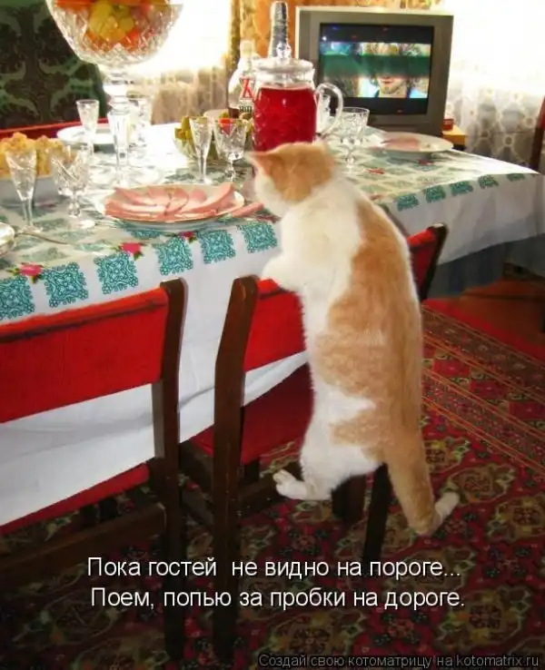Лучшие котоматрицы недели