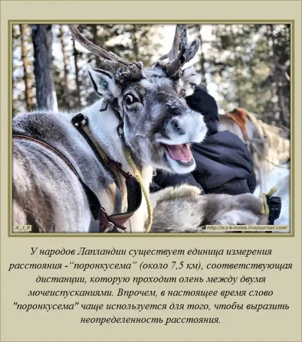 Интересные факты о разном