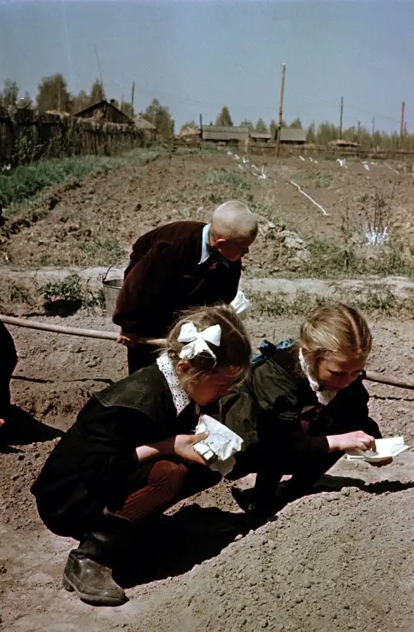 Советские школьники 50-х годов