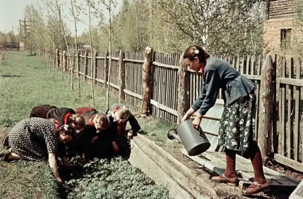 Советские школьники 50-х годов