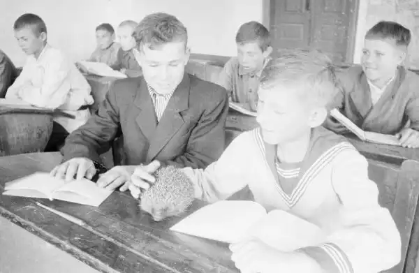 Советские школьники 50-х годов