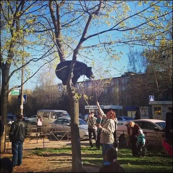 Странные и необъяснимые снимки