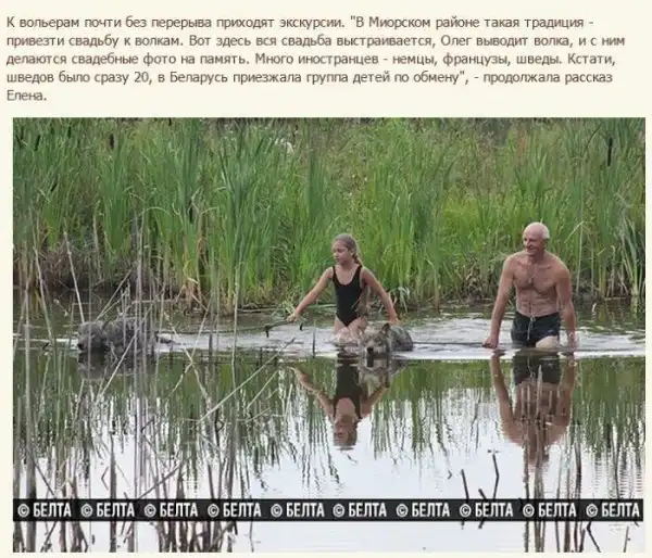 Семья белорусских фермеров вырастила стаю волков