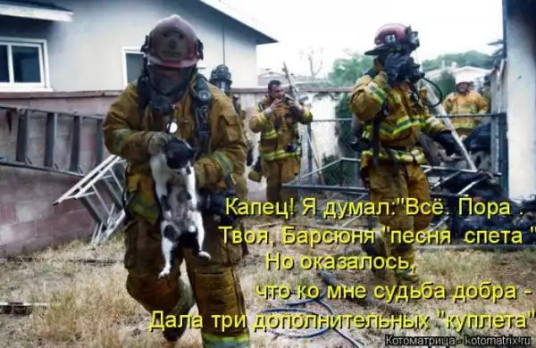 Лучшие котоматрицы недели