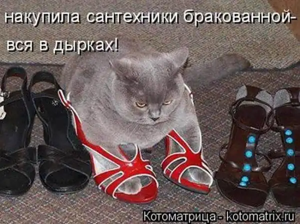 Лучшие котоматрицы недели