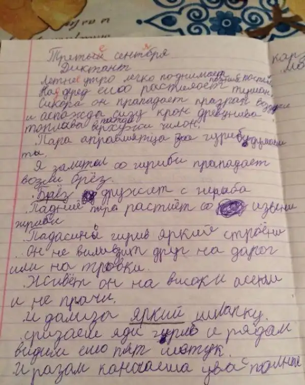 Диктант шестиклассника