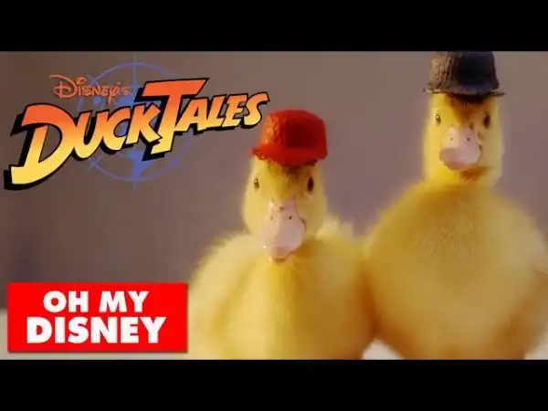 Вот что было бы, если Disney использовали настоящих уток в мультфильме DuckTale