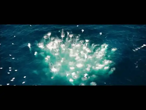 Oceans - Fish Frenzy