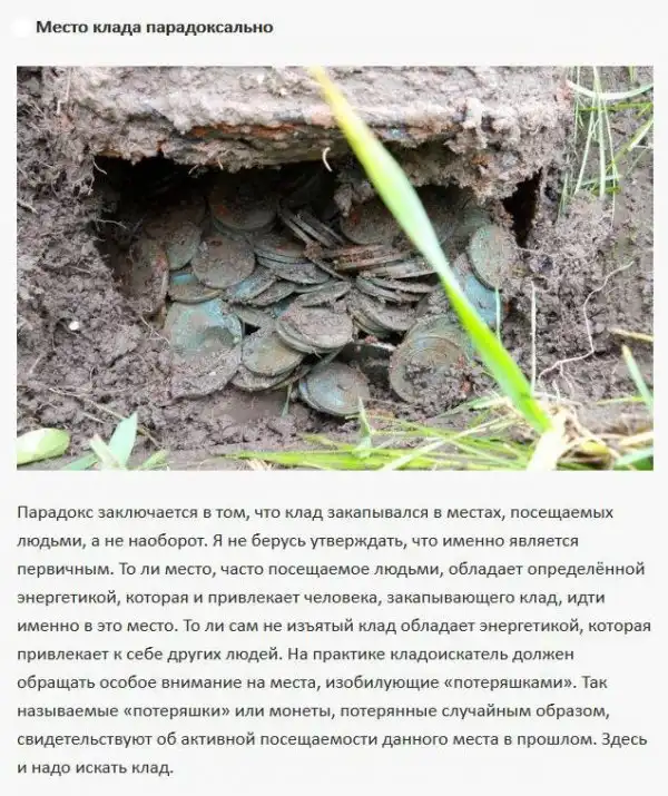 Что нужно знать о поиске кладов в лесу
