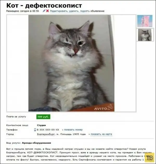 Смешные надписи и объявления