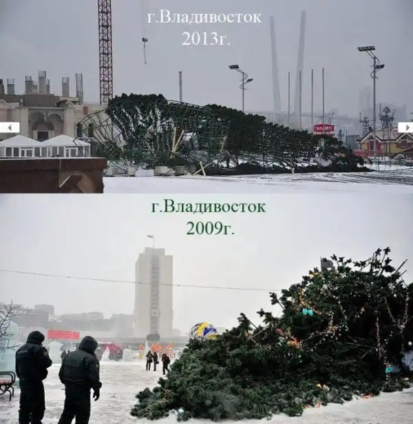 Курьезы из Владивостока