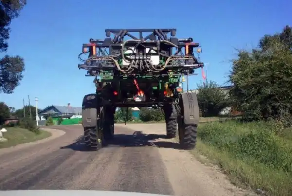 Курьезы из Владивостока