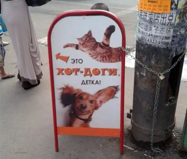 Курьезы из Владивостока