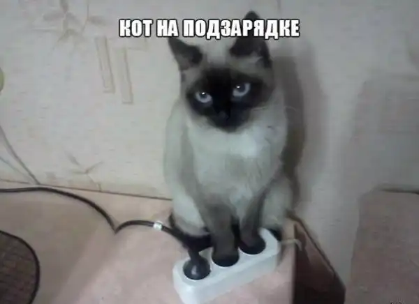 Картинко-комикс-микс