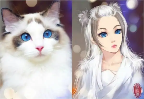 Художник искусно превращает домашних кошек в персонажей аниме