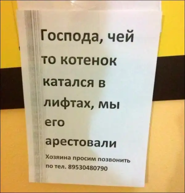 Прикольные надписи и объявления