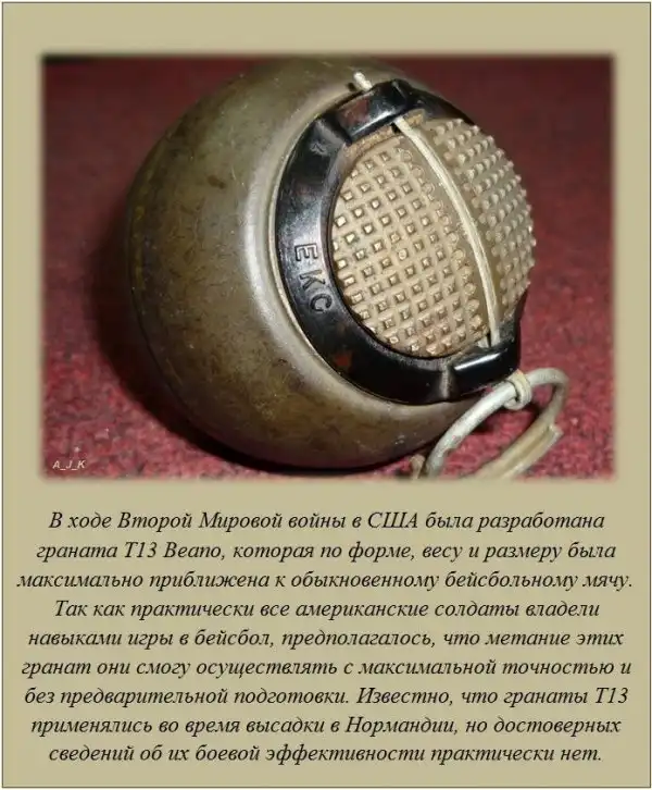 Интересные факты о разном