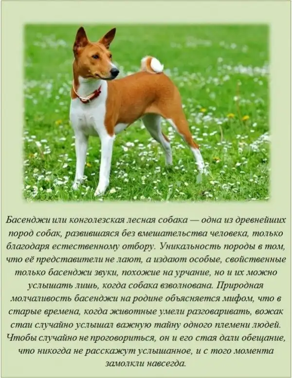 Интересные факты о разном