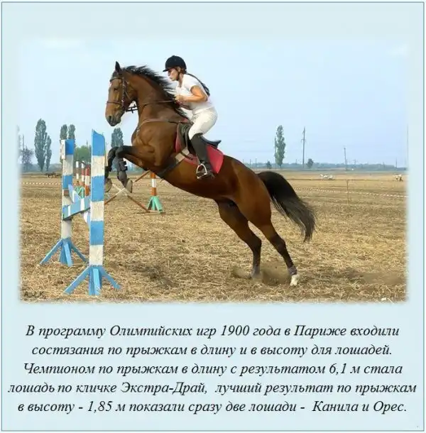 Интересные факты о разном