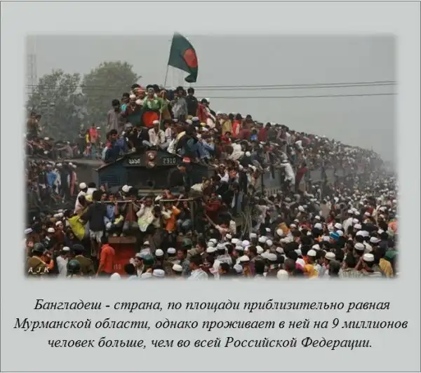 Интересные факты о разном