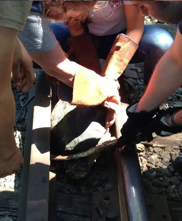 Фотоотчет о спасении черепахи