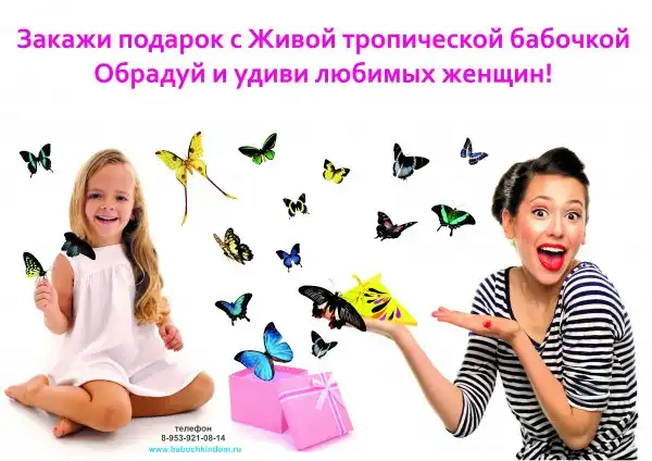 Необычные подарки с живыми тропическими бабочками?