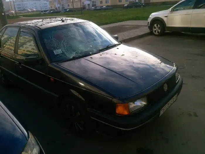 В Белоруссии на припаркованный автомобиль сбросили два кочана капусты