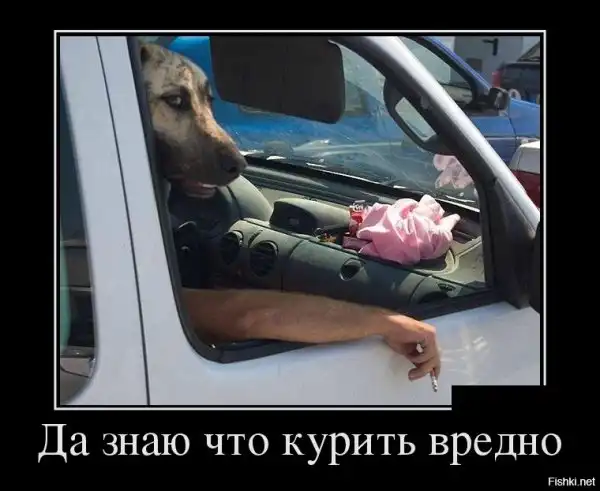 Доброй ночи всем неспящим...