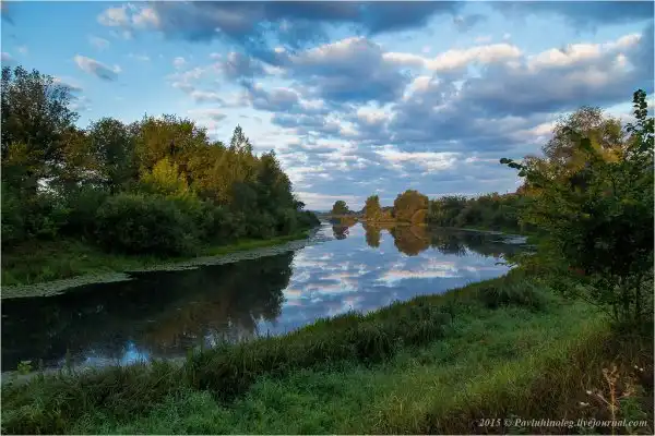 Картинки.