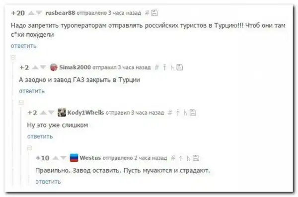 комментарии из социальных сетей.