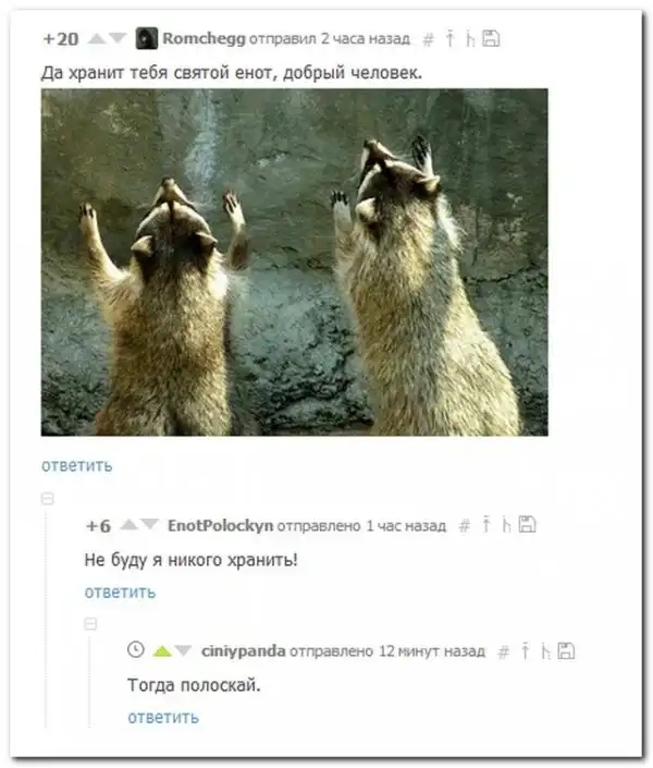 комментарии из социальных сетей.