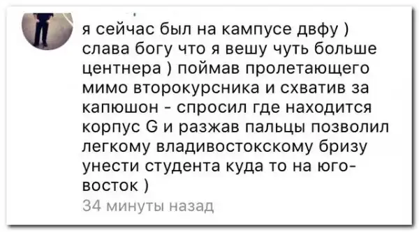 комментарии из социальных сетей.