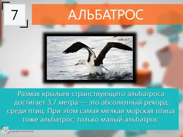 10 Интересных фактов