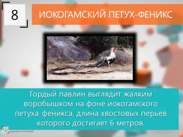 10 Интересных фактов