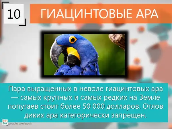 10 Интересных фактов
