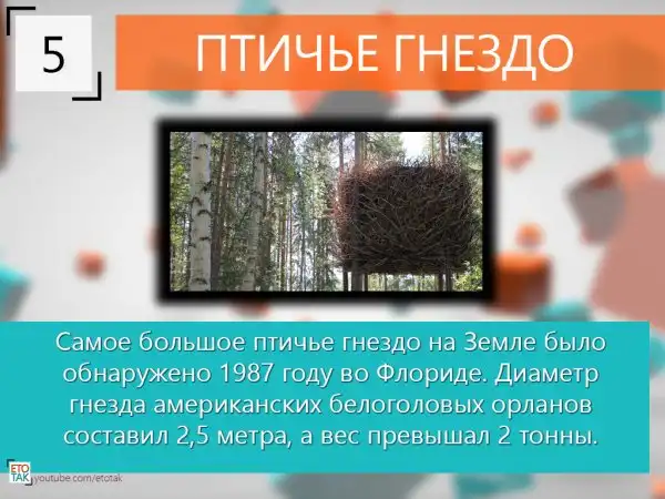 10 Интересных фактов