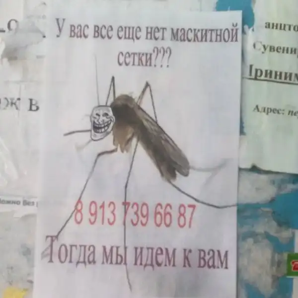 Я б купил: эти гении маркетинга убедят любого