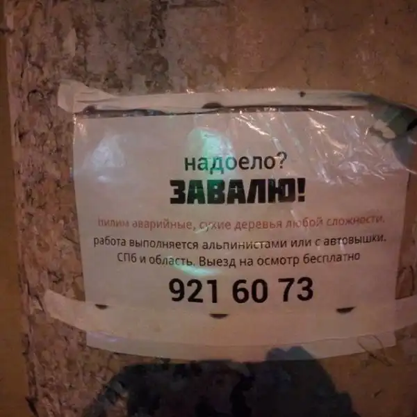 Я б купил: эти гении маркетинга убедят любого