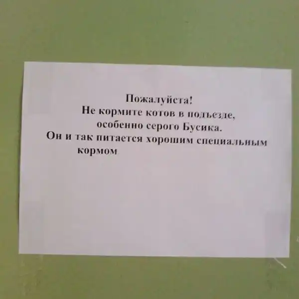 Забавные объявления в наших подъездах