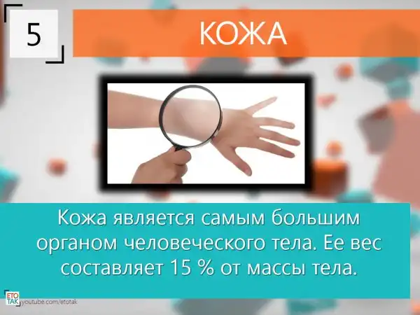 10 Интересных фактов