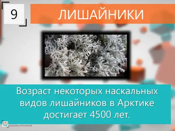 10 Интересных фактов