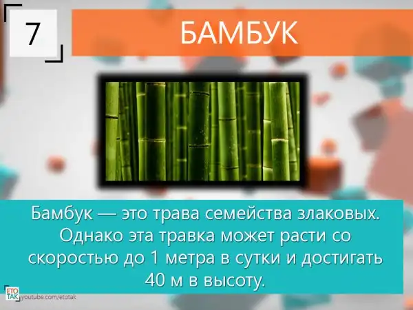 10 Интересных фактов
